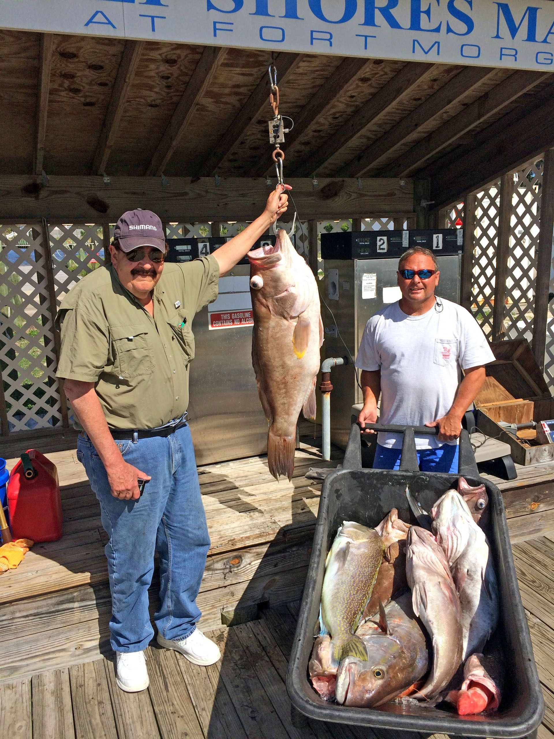 Two people stand under a marina shelter with a large grouper hanging on a scale and a bin of fish in the foreground.