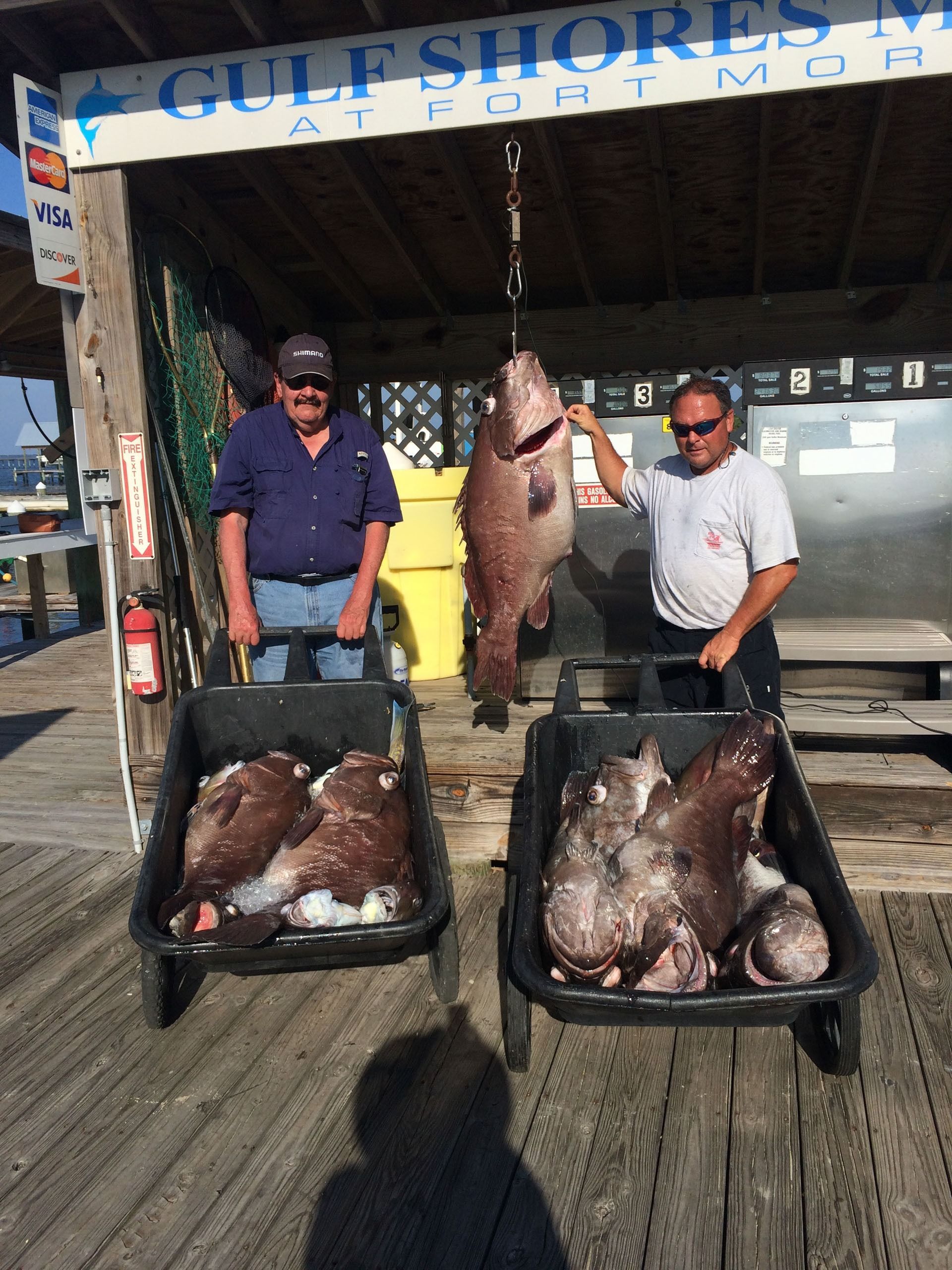 Two men stand under a marina sign, holding large fish in two black carts with another fish hanging from a scale.