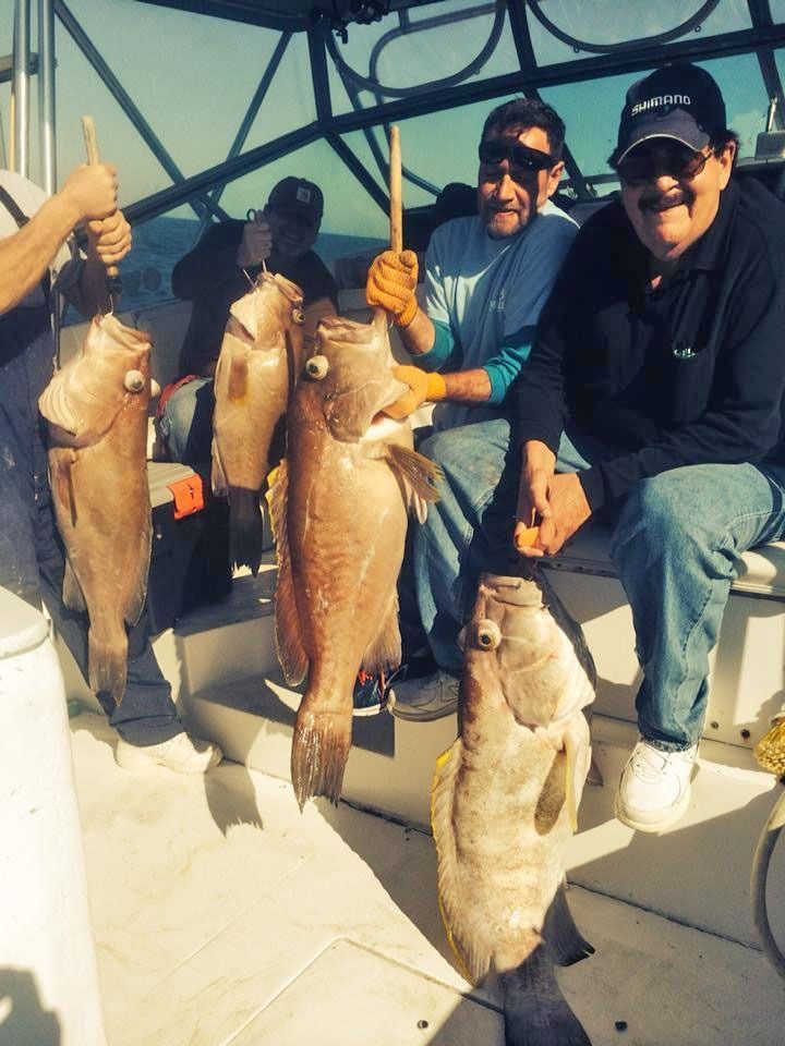 Three people on a boat holding up several large fish caught during a fishing trip.