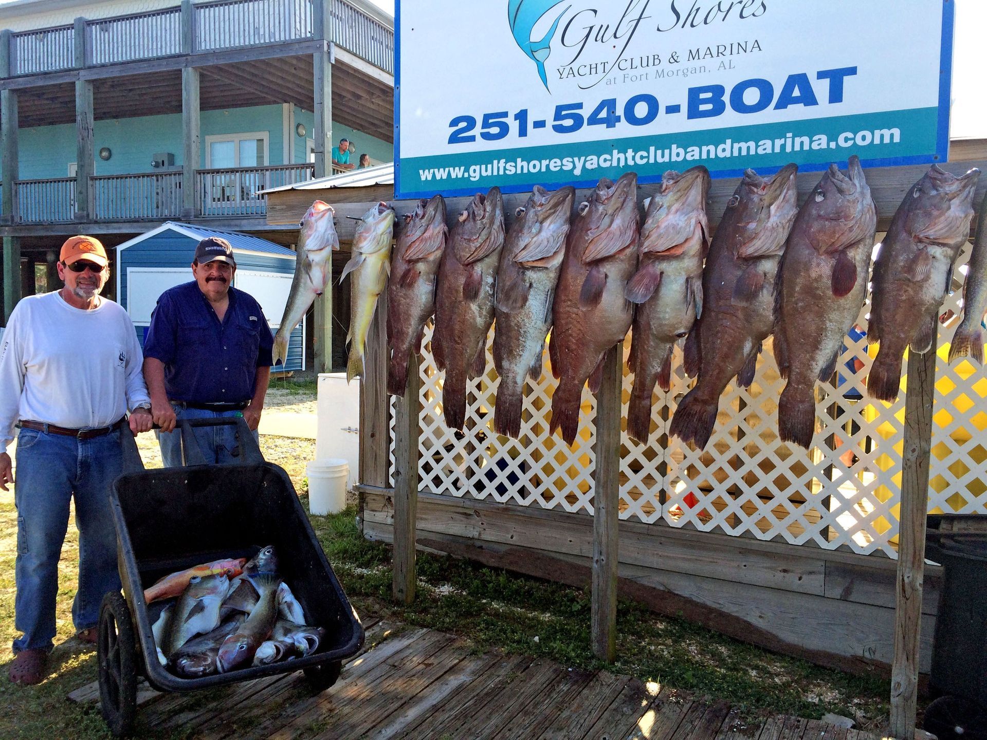 Two people stand with a cart filled with fish next to a rack holding several large caught fish at a marina.