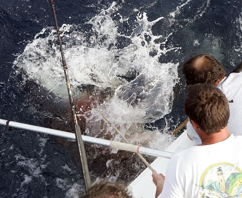 People on a boat pull a line connected to a large, unseen fish creating a large splash in the dark ocean water.