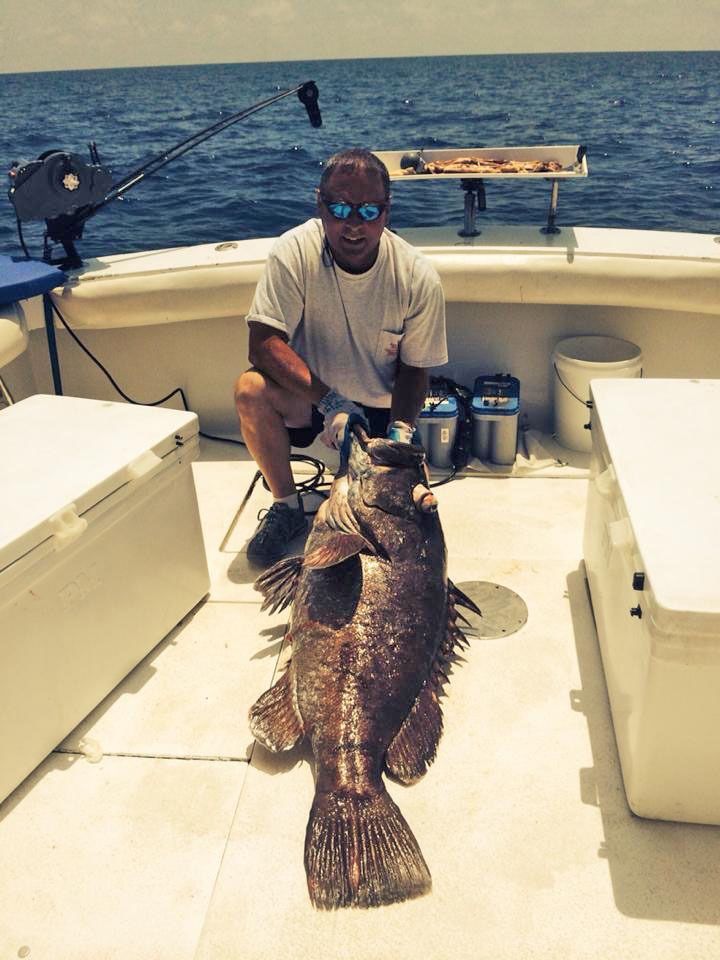 A person kneeling on a boat deck holding a large, dark-patterned grouper fish on a sunny day at sea.