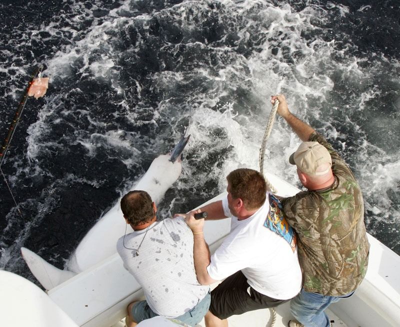 Three people on a boat pull a line connected to a large fish in the churning water.
