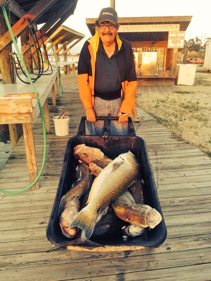 A person wearing a jacket and cap stands on a wooden dock, pushing a large cart filled with several freshly caught fish.