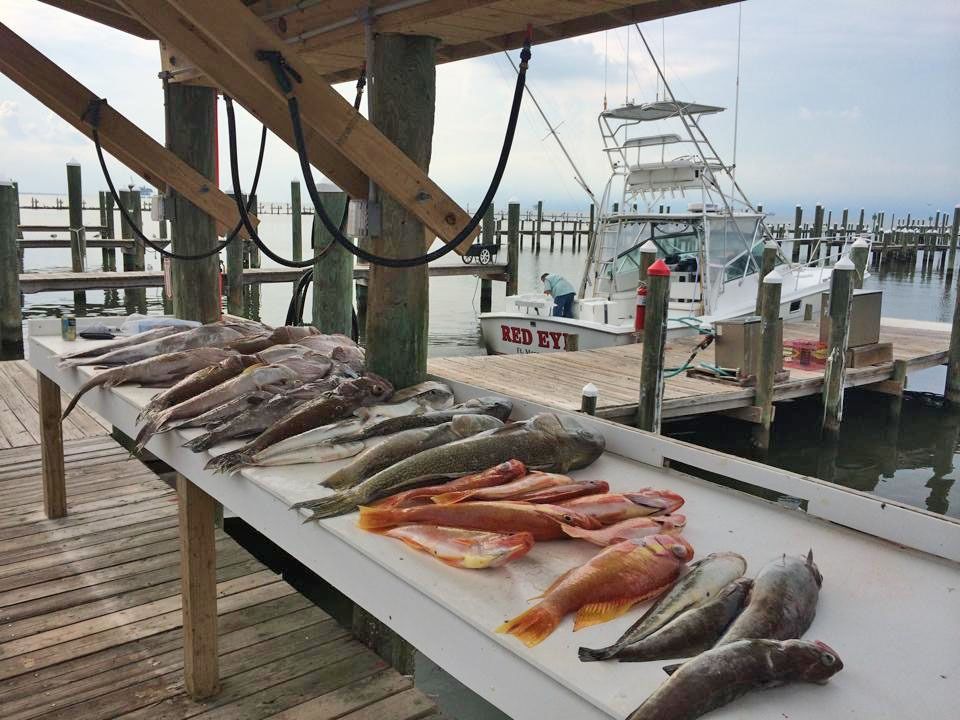 Freshly caught fish arranged on a cleaning table at a marina dock with a boat in the background.