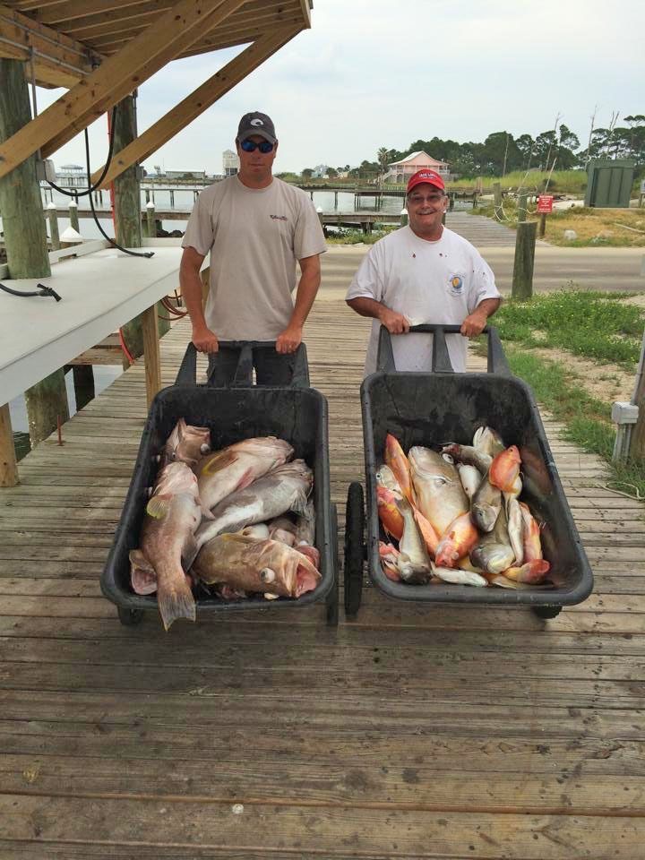 Two people stand on a wooden dock with wheelbarrows filled with freshly caught fish.