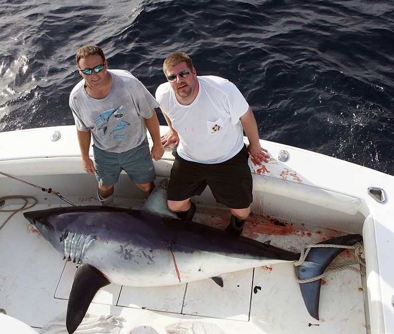 Two people stand on a boat deck beside a large mako shark lying on the floor.