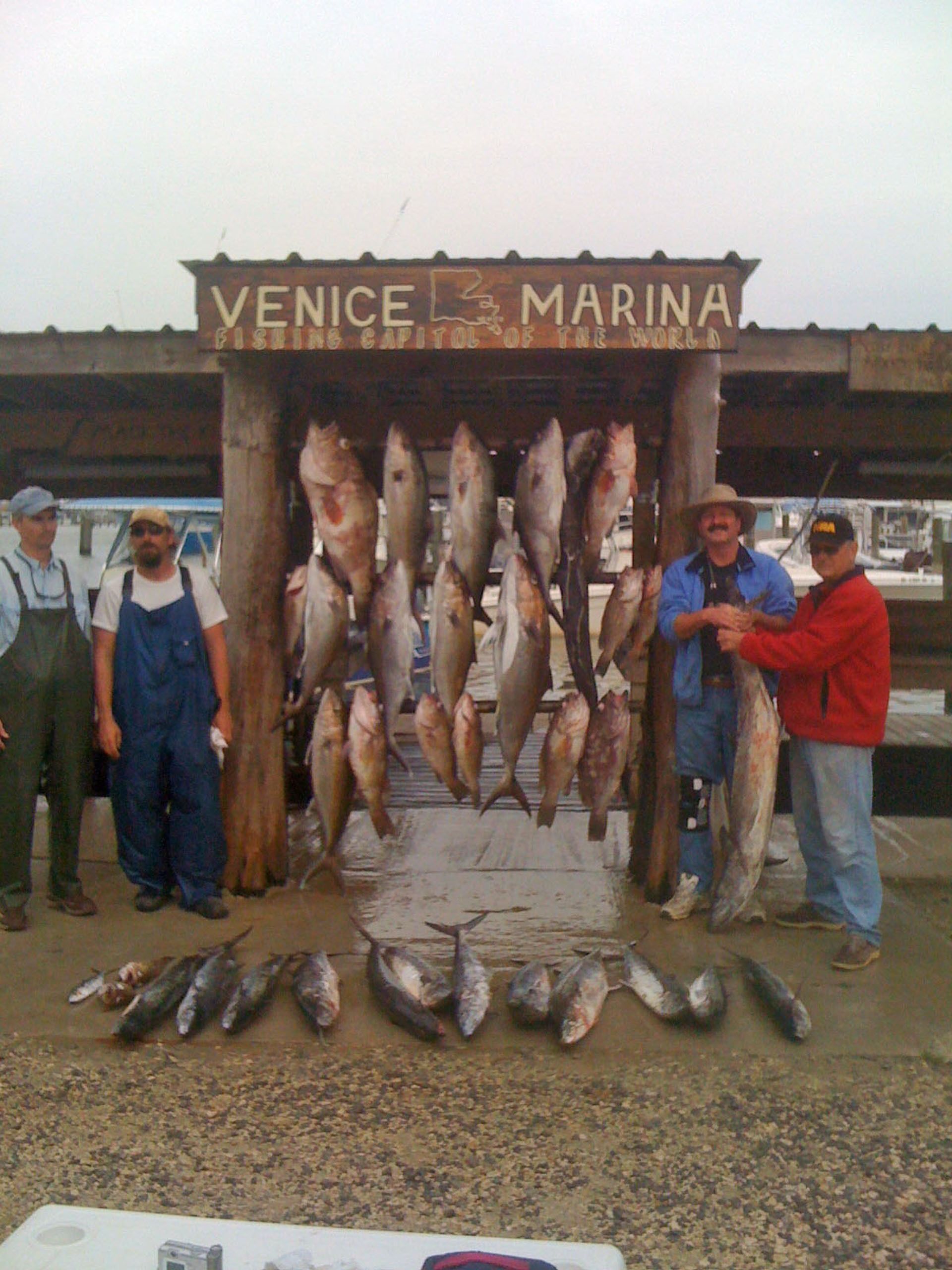 Four people stand by a Venice Marina sign, displaying a large catch of fish hanging from a wooden rack and on the ground.