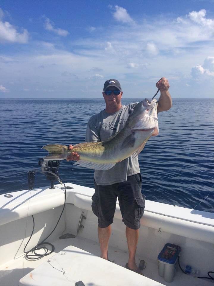 A person in a gray shirt and hat holds a large, silver fish while standing on a boat on the open ocean.