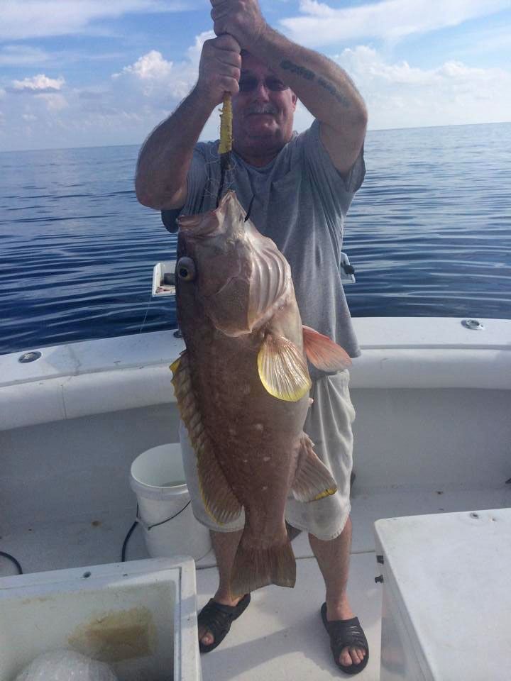 A person on a boat holding a large, brownish-grey grouper fish on a hanging scale over the water.