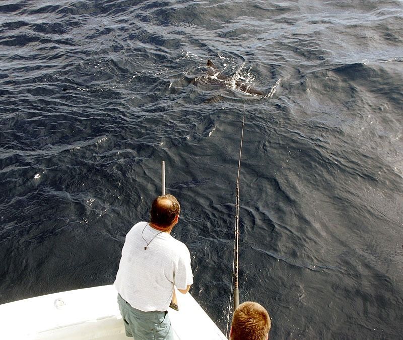 Two people on a boat fish in deep blue water, with a line taut towards a disturbance at the surface.
