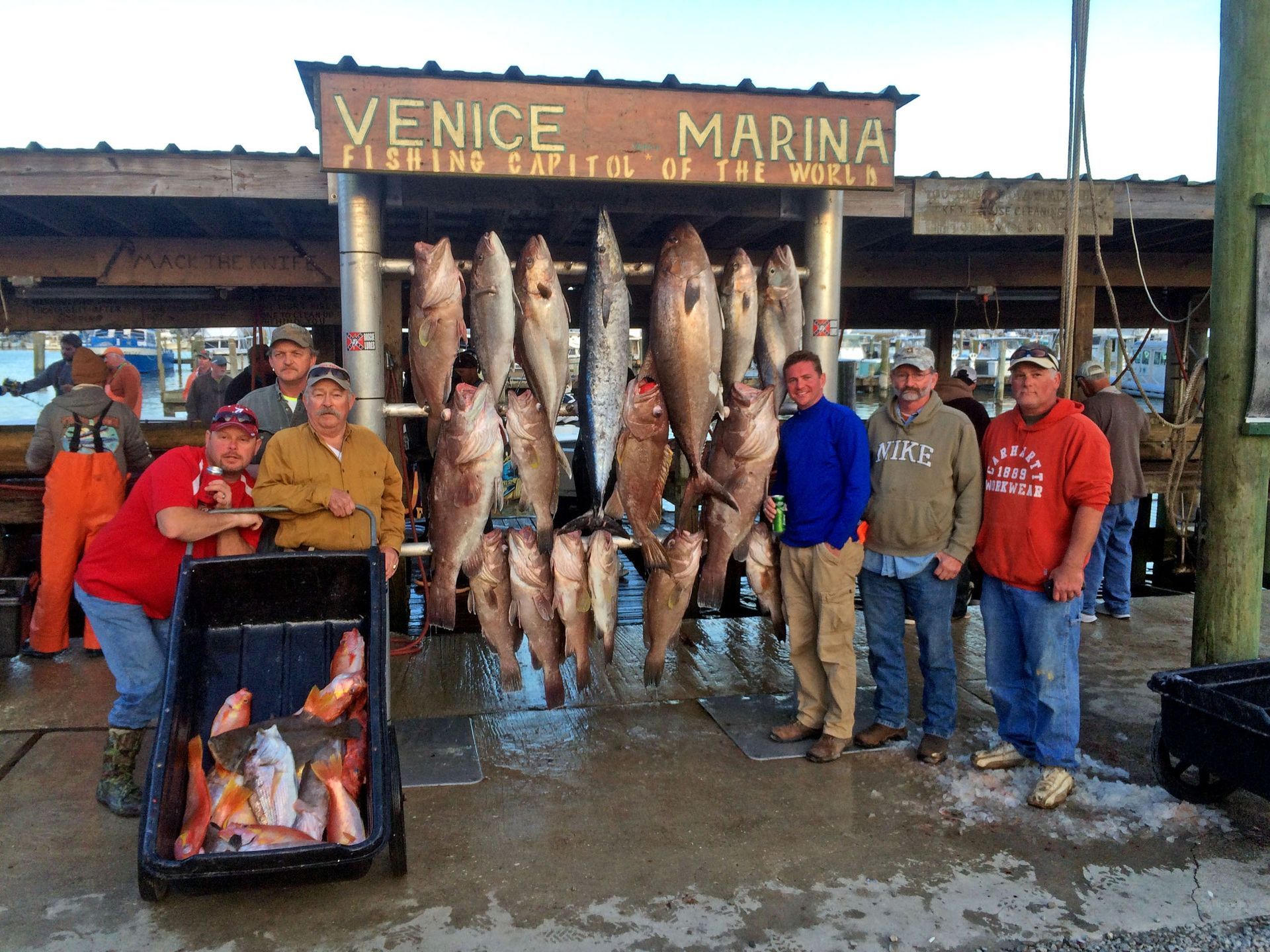 Group poses with a large haul of fish hung on a rack at Venice Marina, with a cooler full of fish in the foreground.