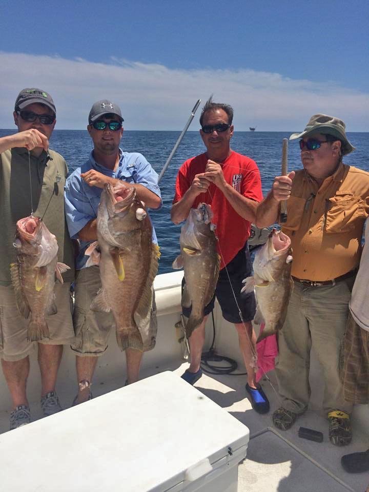 Four people stand on a boat deck, each holding up a large fish they caught while out at sea on a sunny day.
