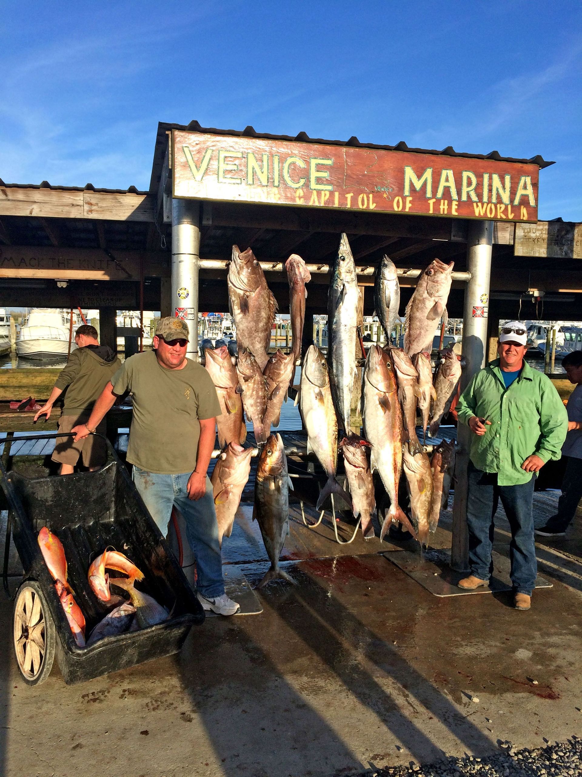 Two people stand at the Venice Marina beside a hanging display of freshly caught fish and a cart full of more fish.