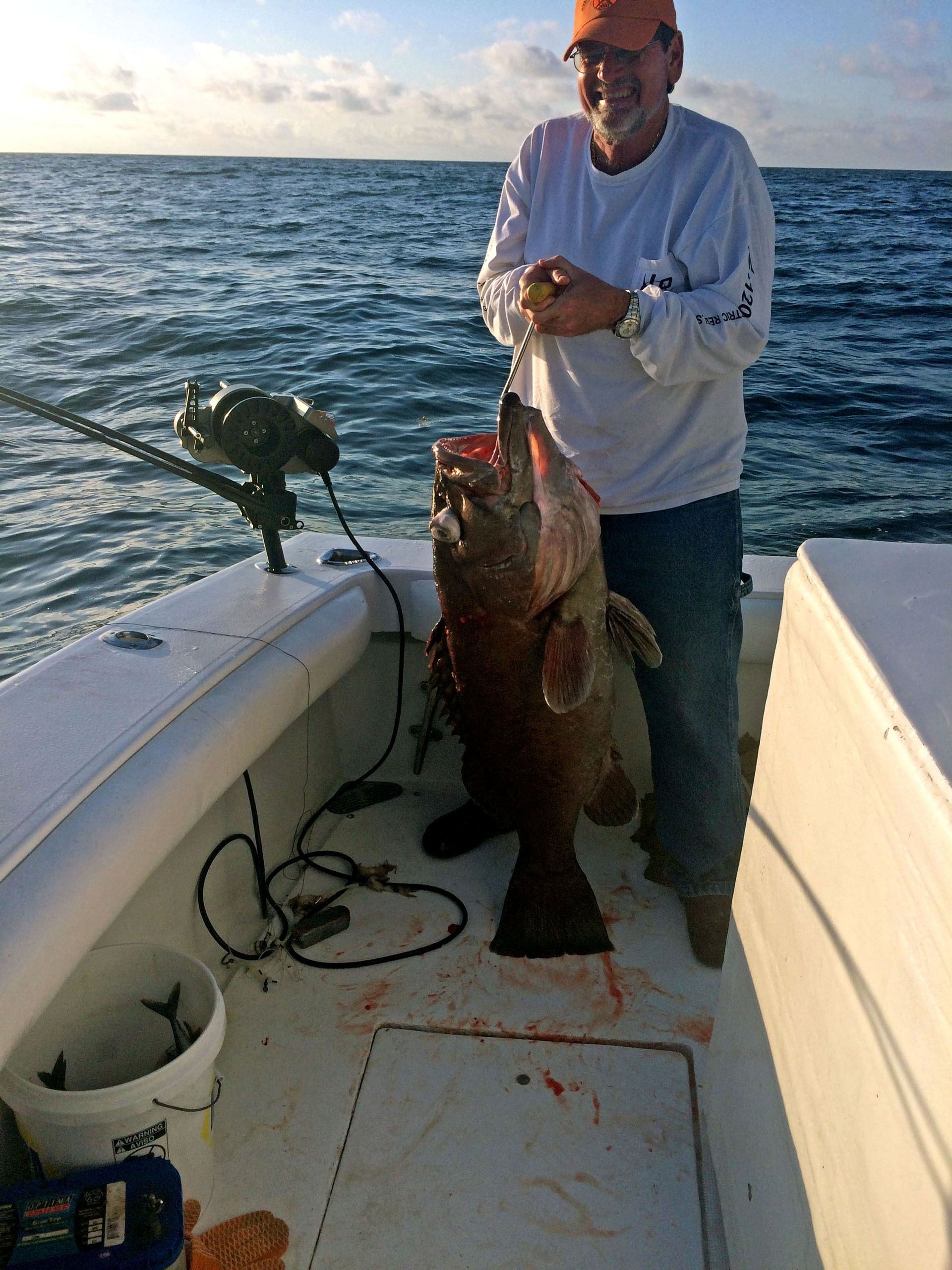 A person on a boat holding up a very large grouper fish near a white bucket on the deck against an ocean horizon.