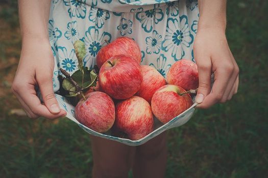 A woman is holding a basket of apples in her hands.