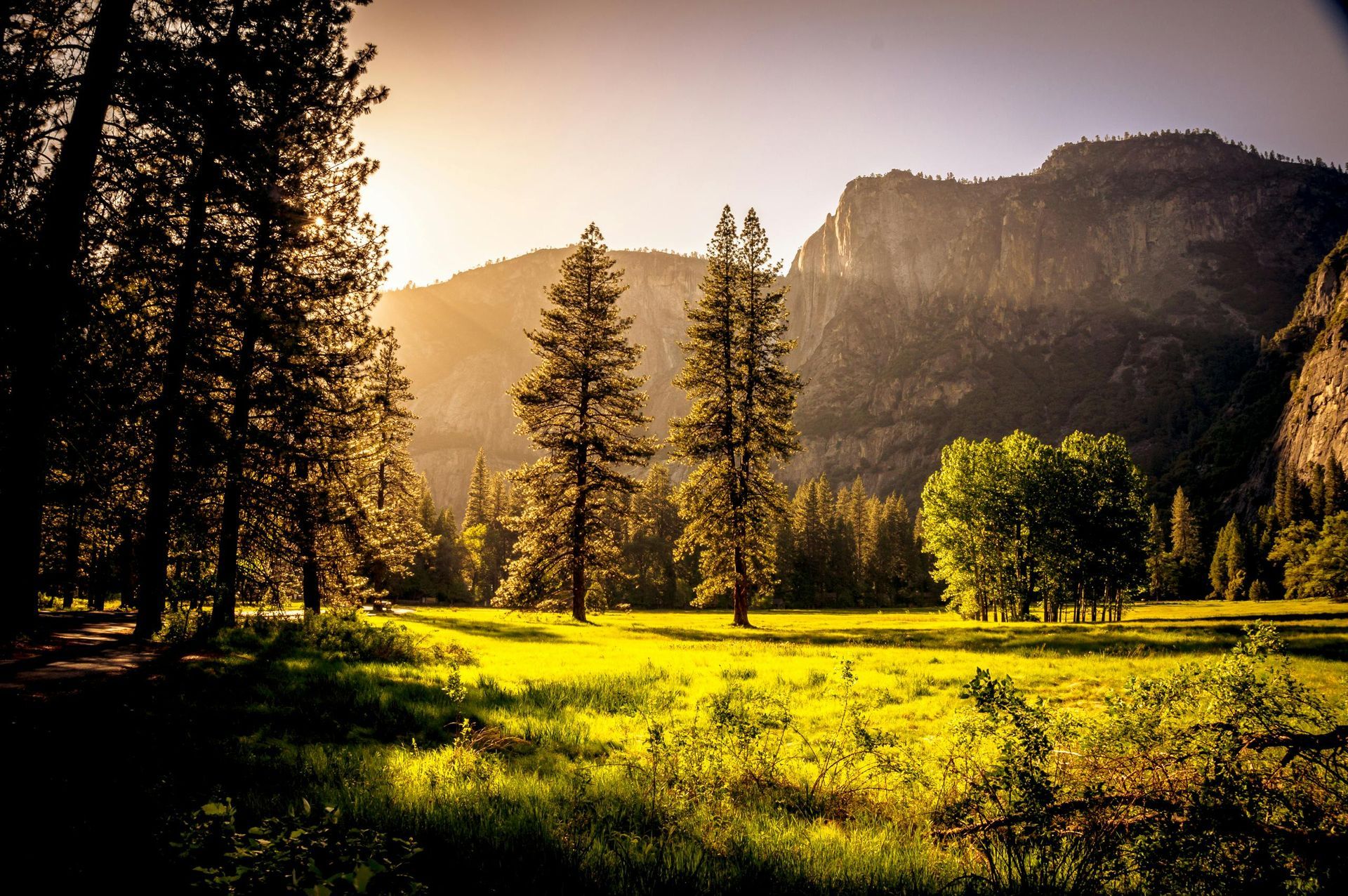 A field with trees and mountains in the background
