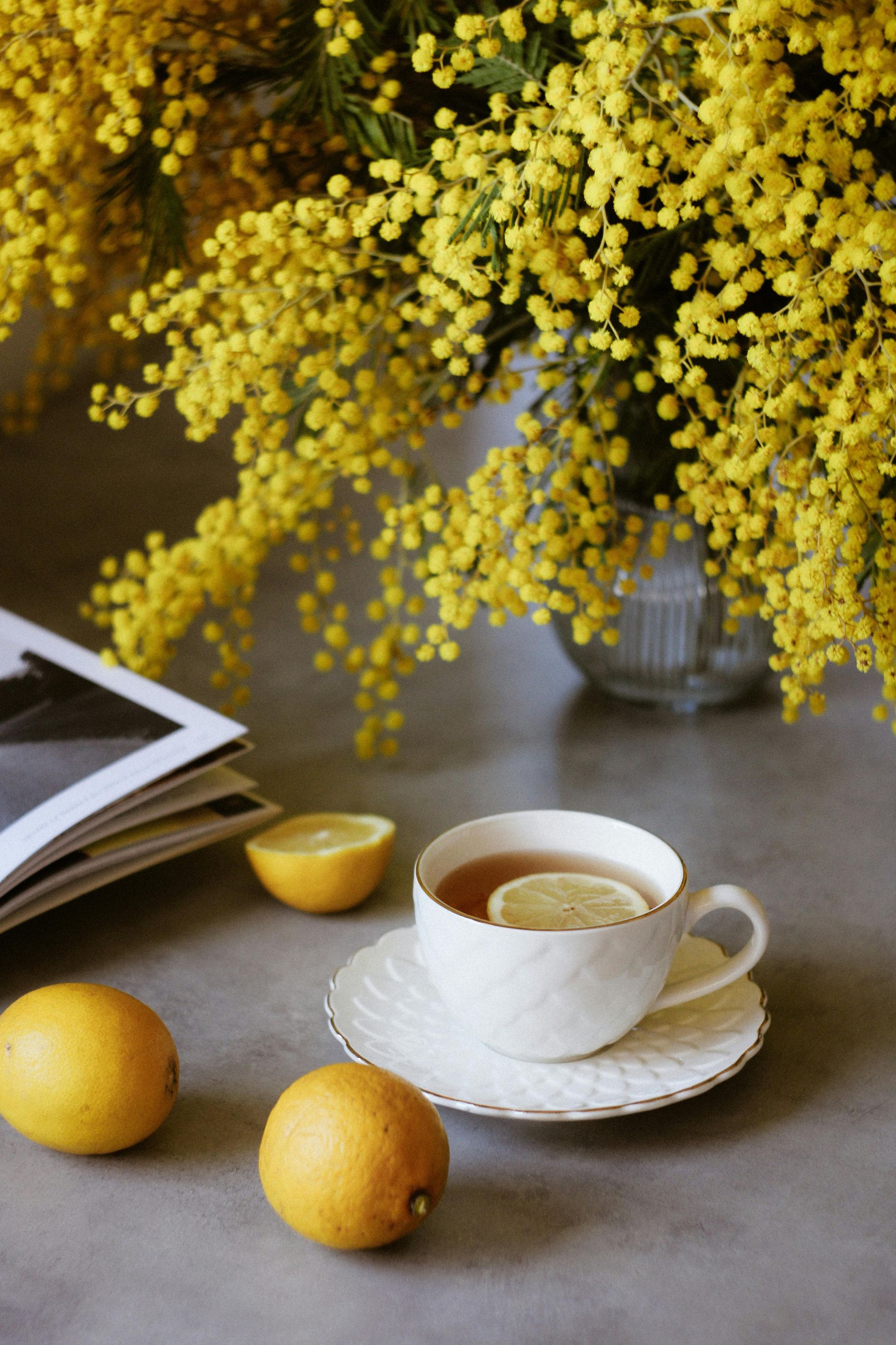 A cup of tea on a saucer next to lemons and a book.