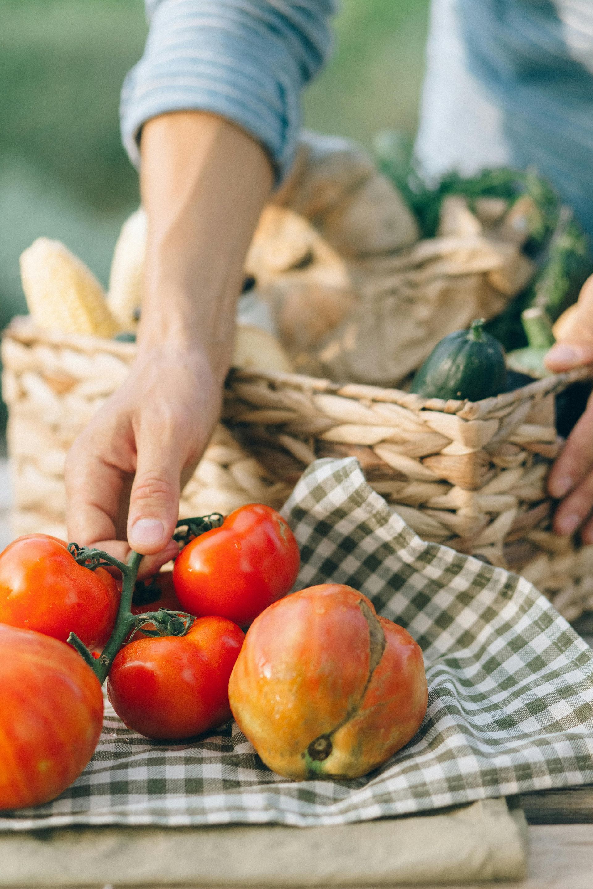 A person is picking tomatoes from a basket of vegetables.
