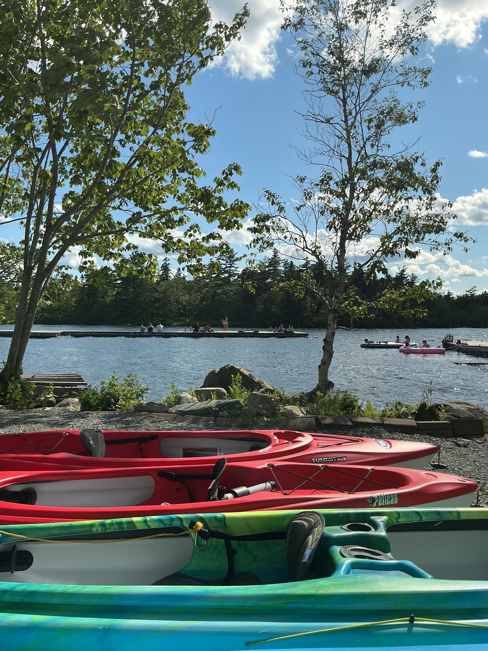 Colorful kayaks lined up by a lake with trees and blue sky in the background