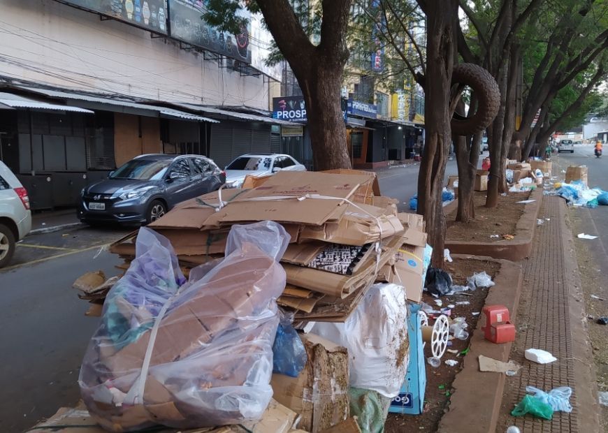 Junk Removal