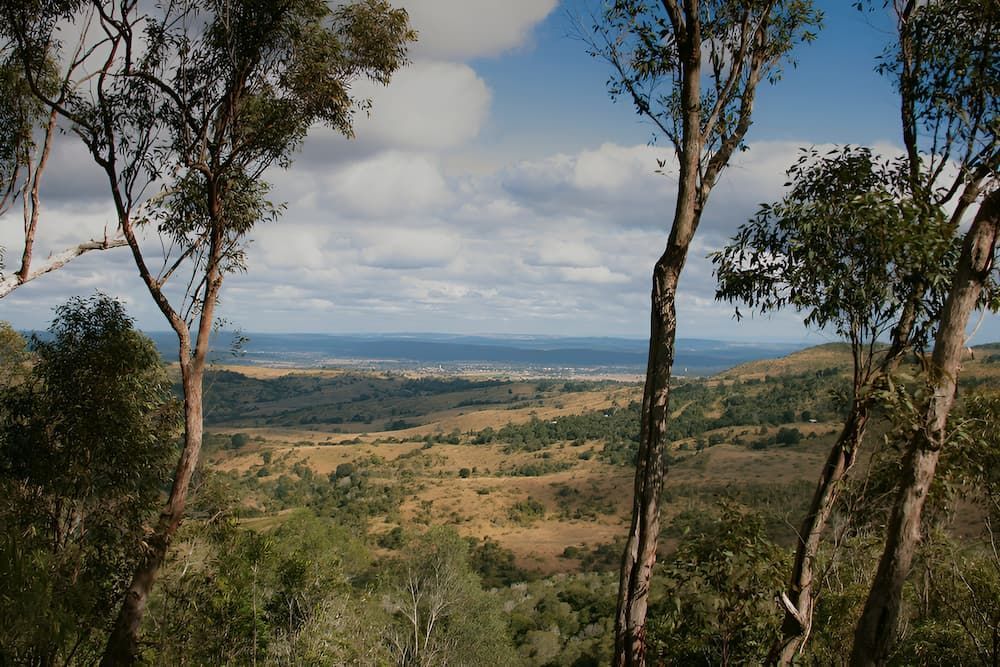 A View Of A Valley Through Trees On A Cloudy Day — Ollies Towing & Shipping Container Sales in Murgon, QLD