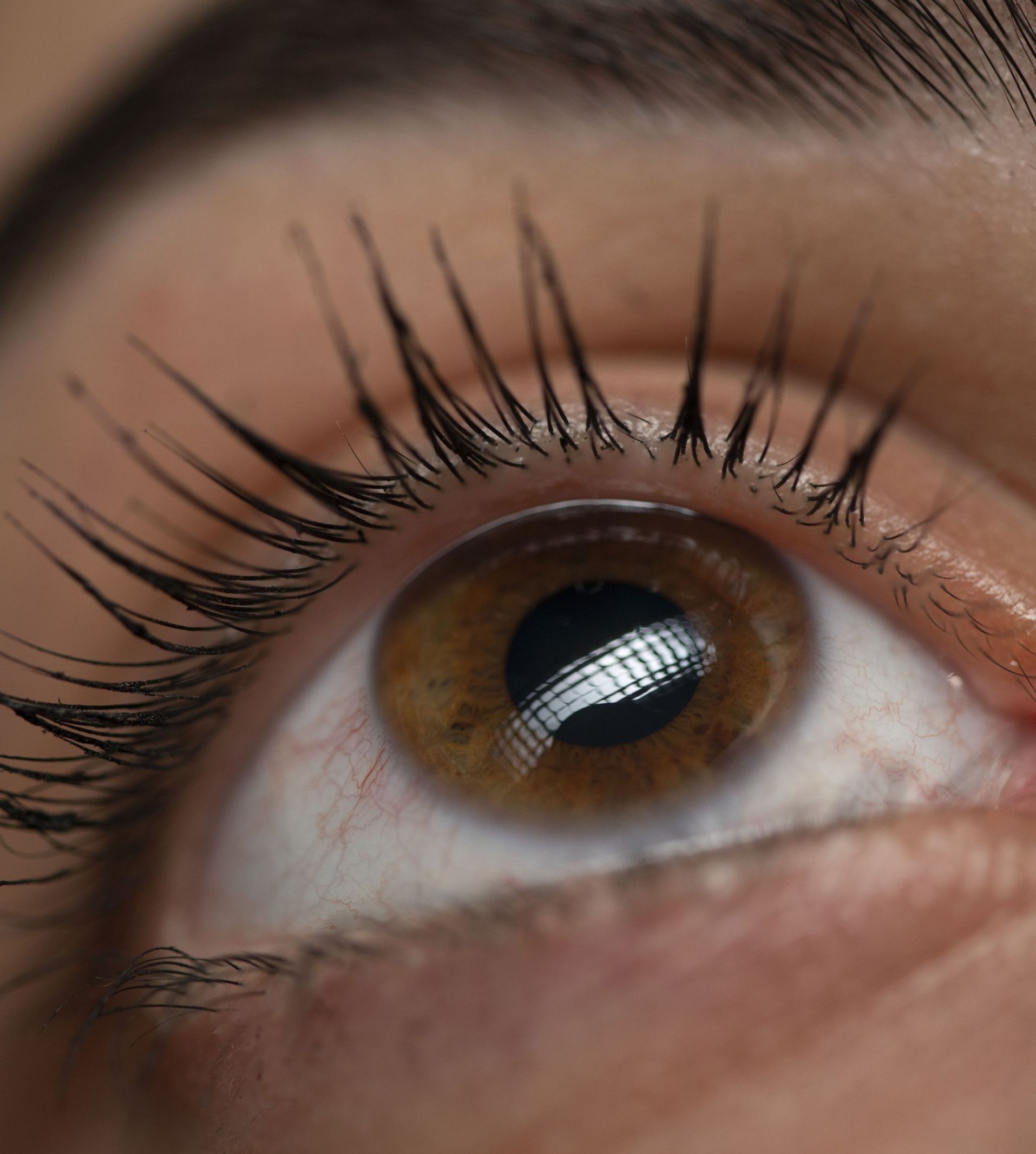 Eye Lash Extensions at ERA Wellness Spa