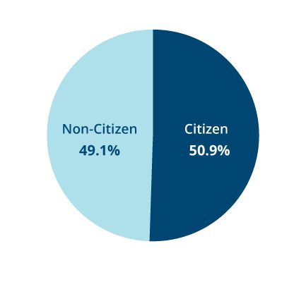 A pie chart showing the percentage of non-citizens and citizens