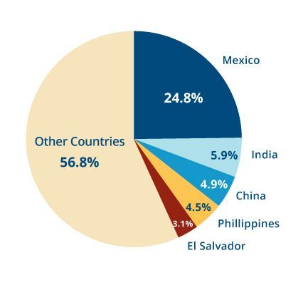 A pie chart showing the percentage of other countries