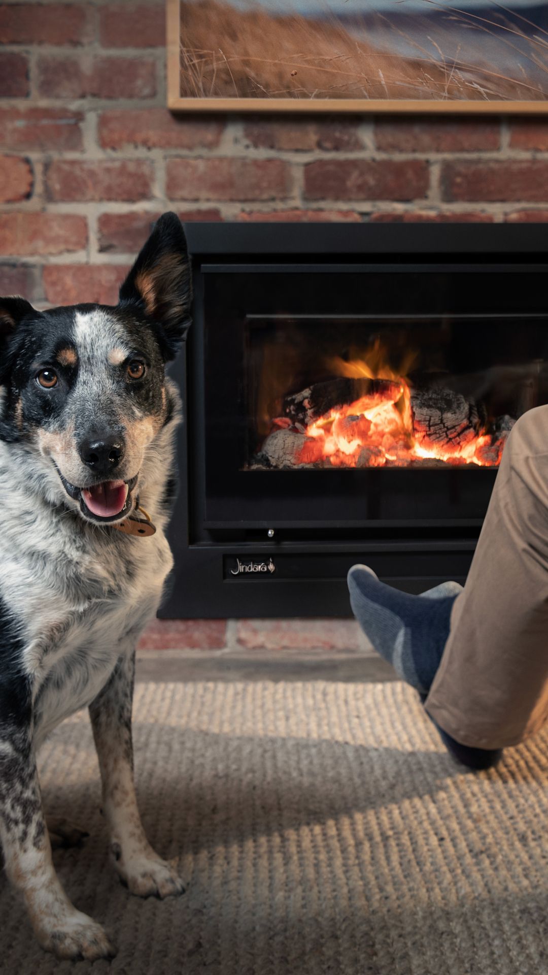 A dog is standing next to a person in front of a fireplace.