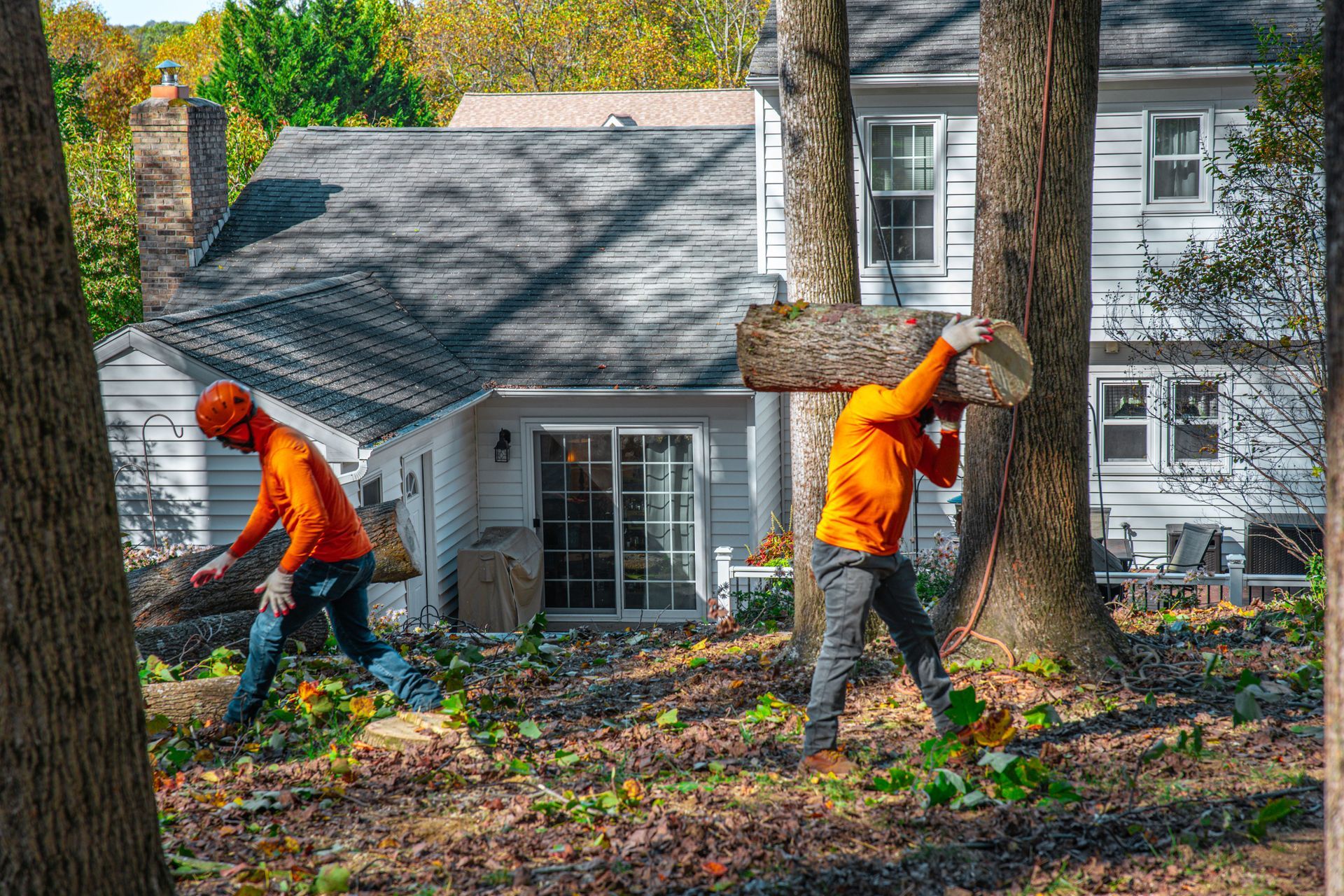 Two workers in orange shirts carry a log past a house. One chops wood.