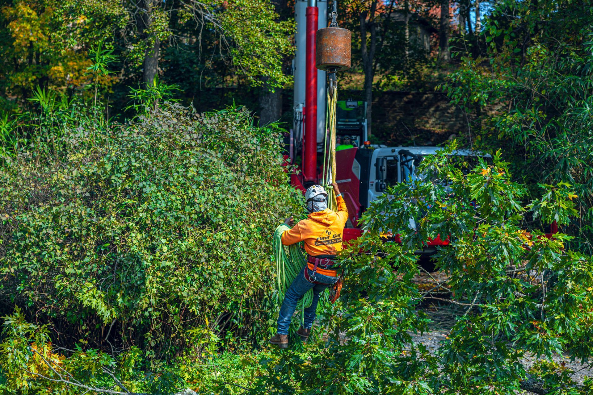 Arborist in orange shirt, suspended by rope, working near truck with lift, surrounded by trees.