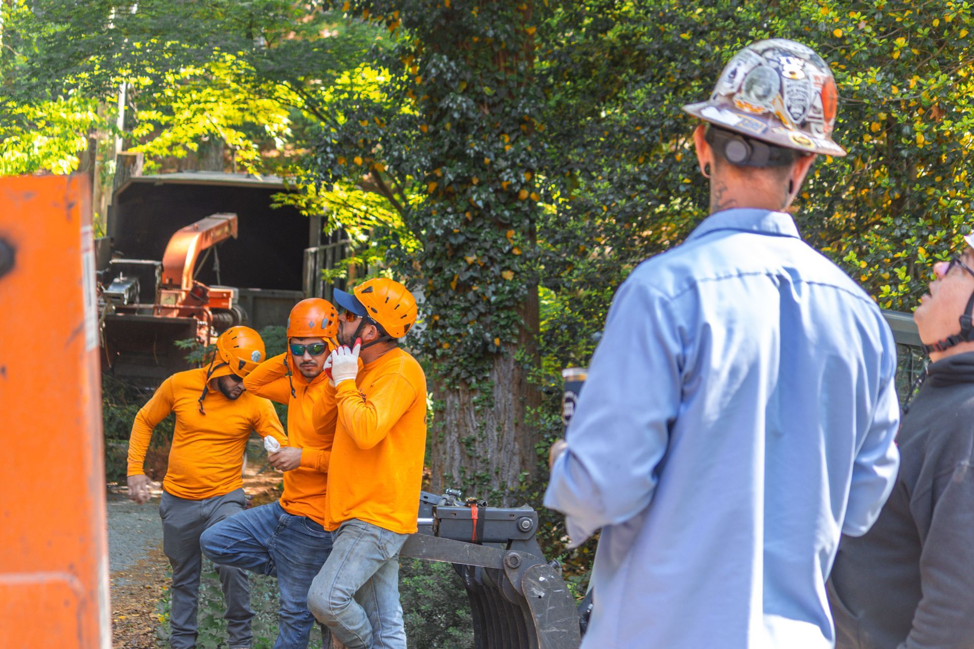 Certified arborists coordinating equipment during tree removal services