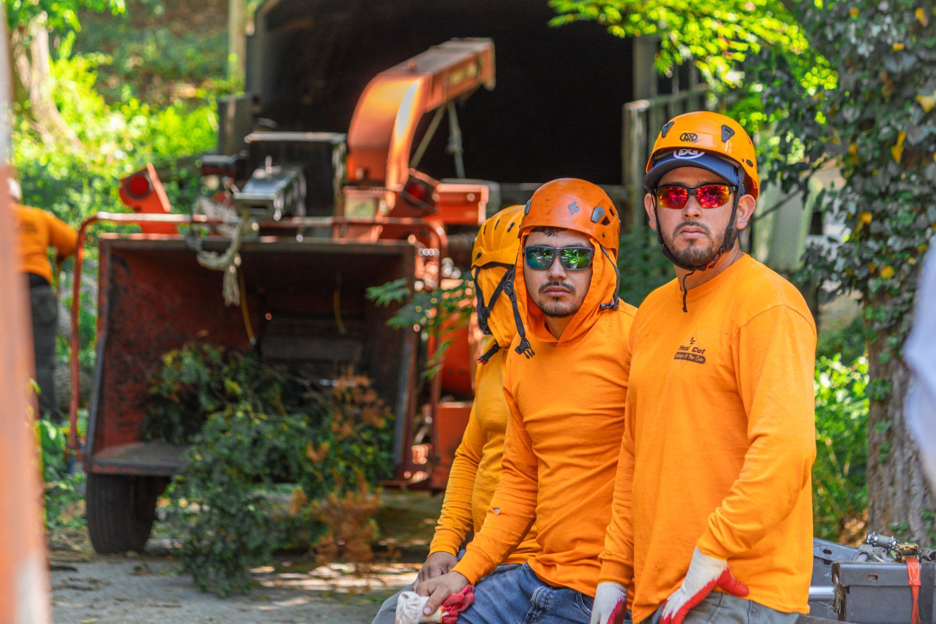 Tree service team preparing for a residential arborist project