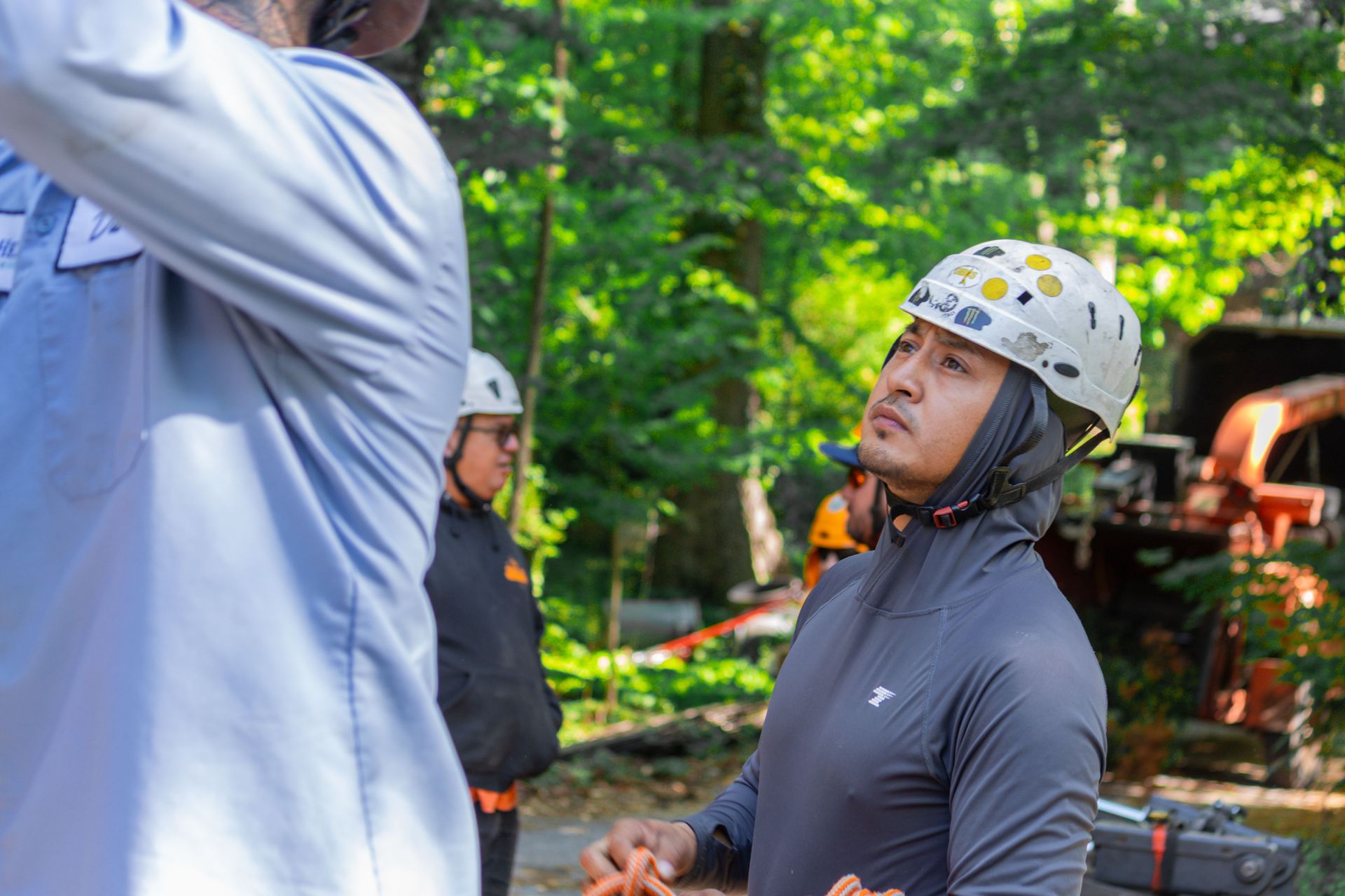 Certified arborist crew during a residential tree care project