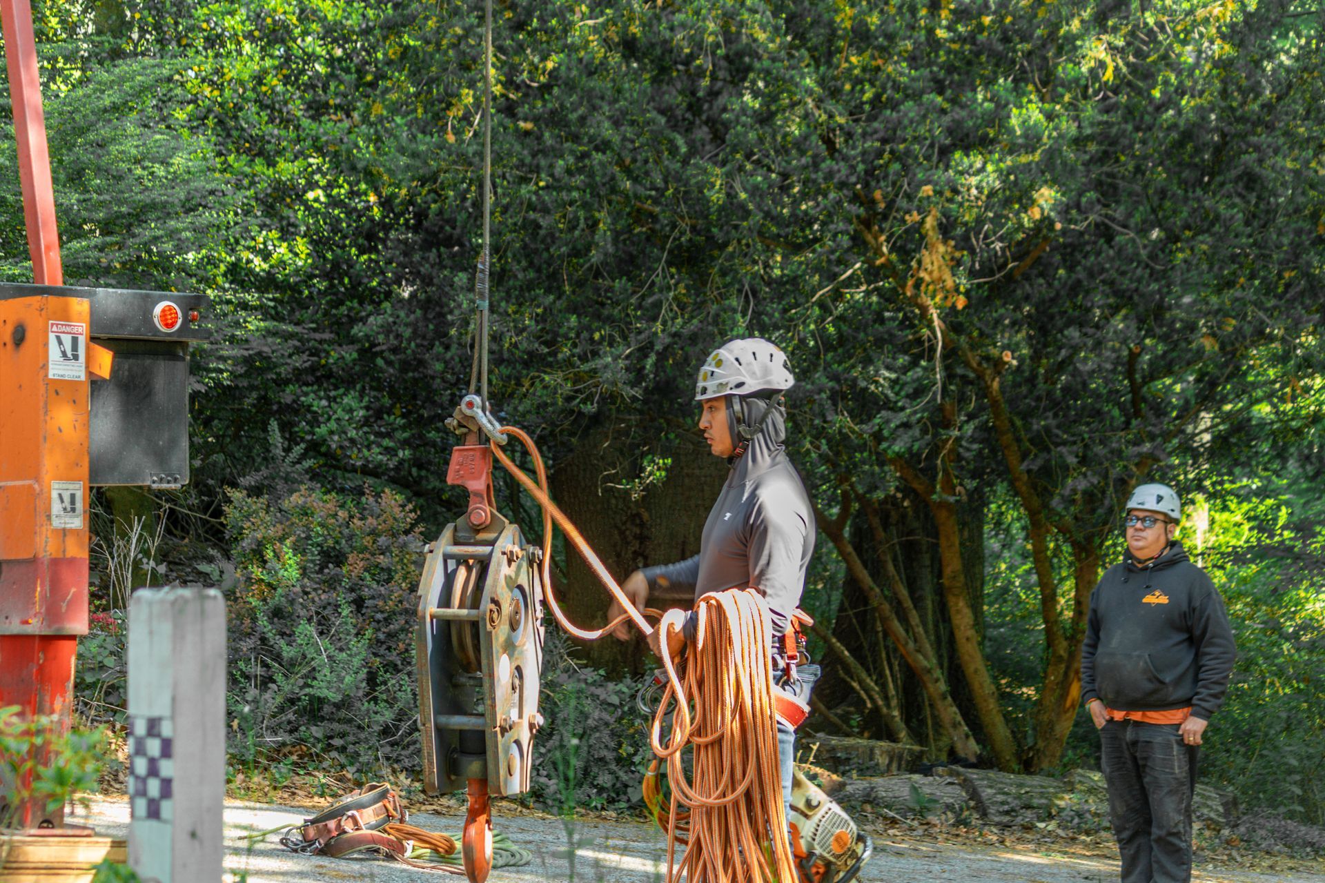 Residential arborist crew coordinating crane assisted tree services