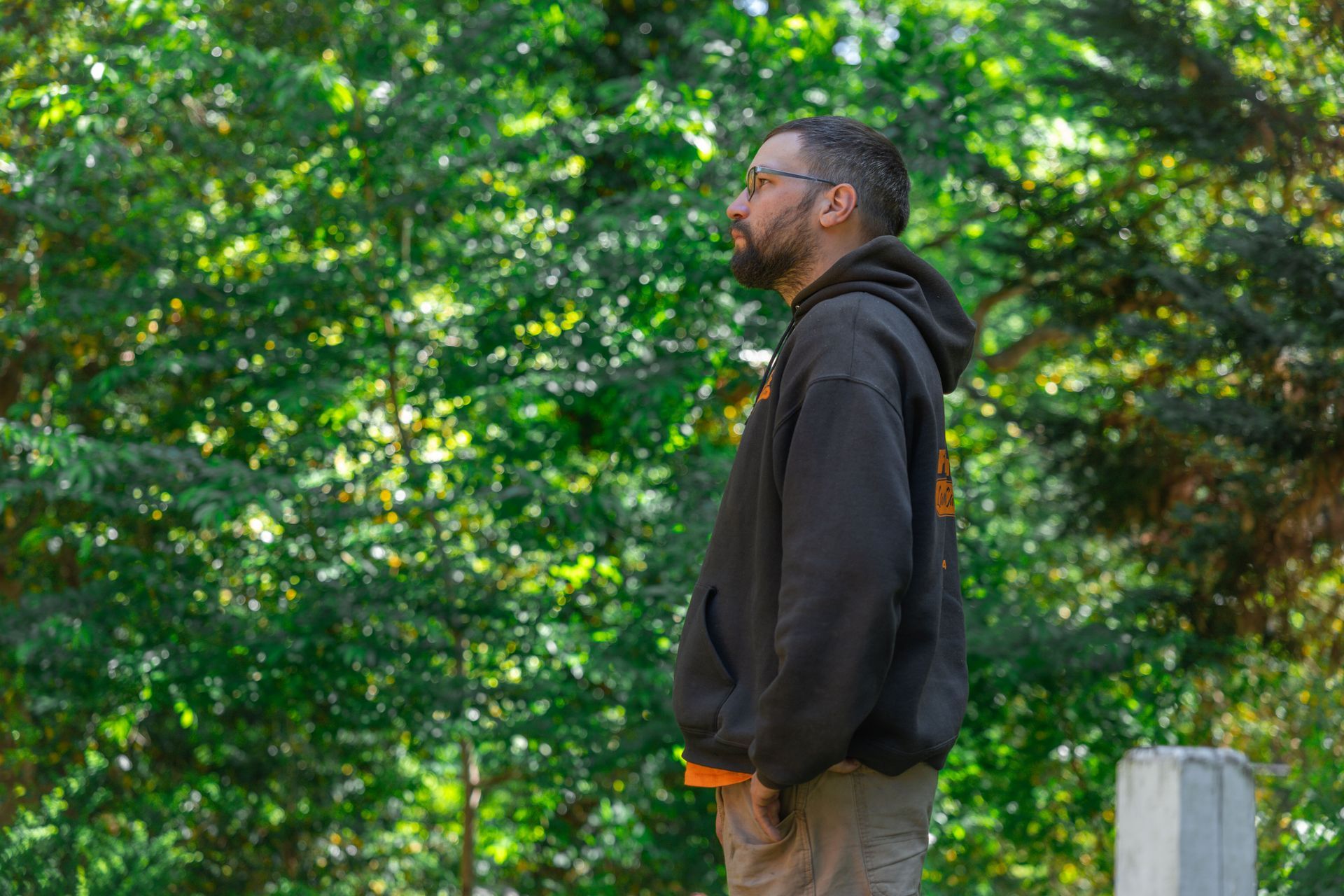 Arborist inspecting tree conditions on a residential property