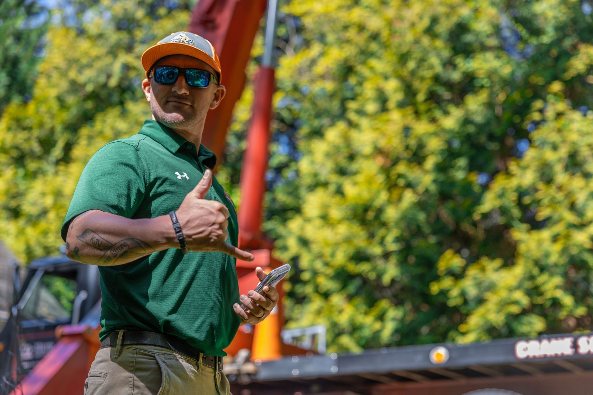 Residential tree service project with arborist and crane equipment