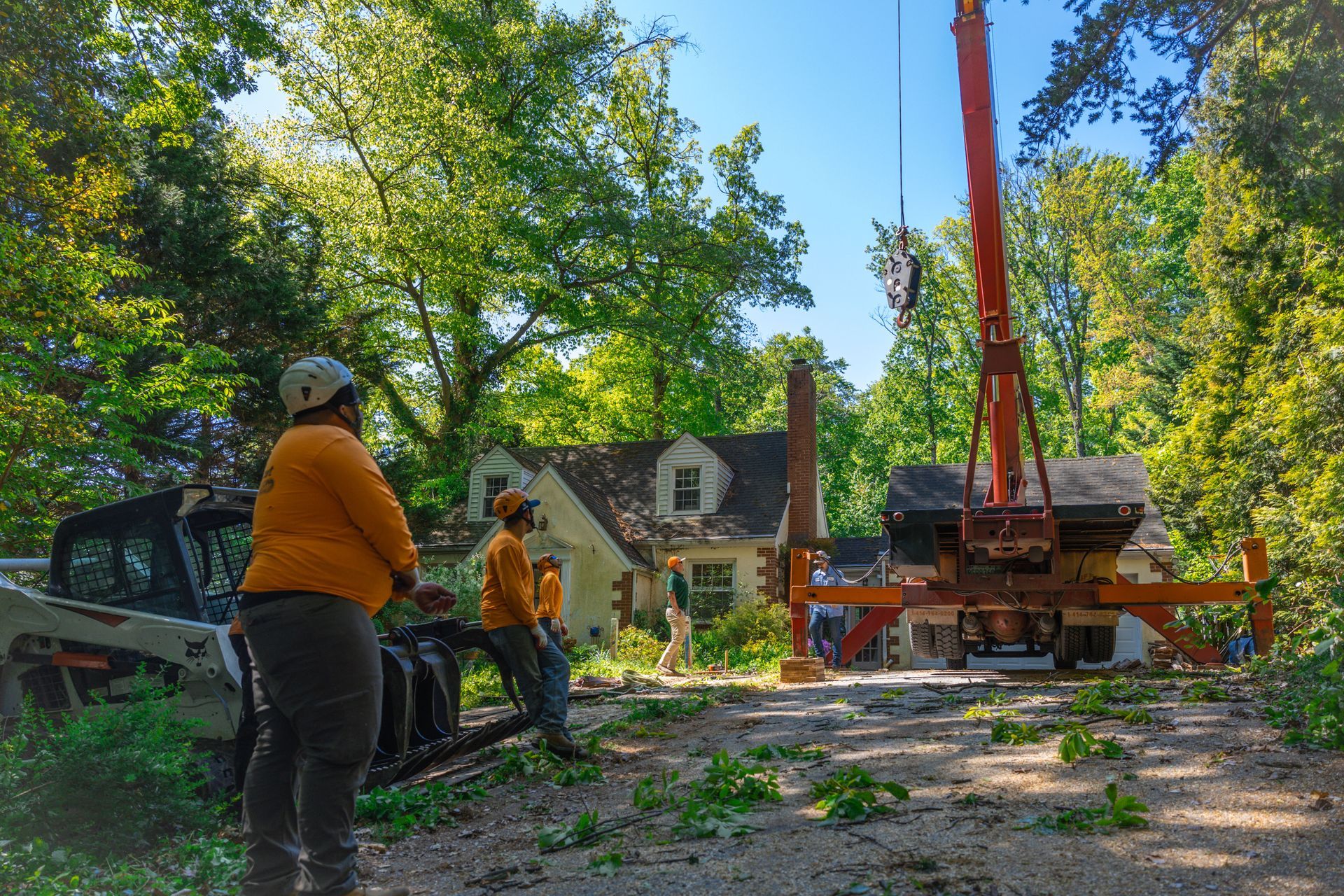 Professional tree removal team working on a residential property