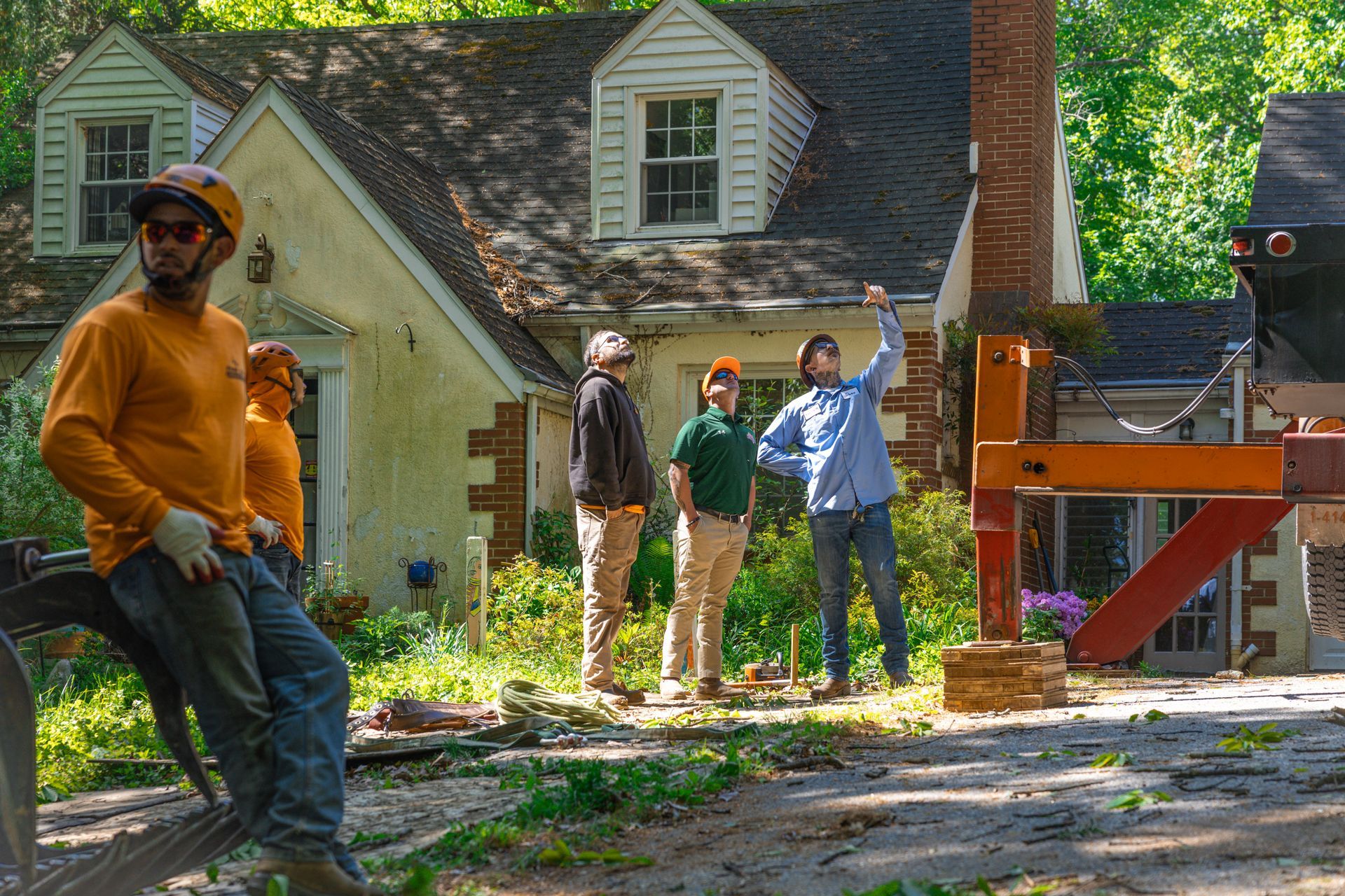 Residential tree care consultation with arborist crew and equipment
