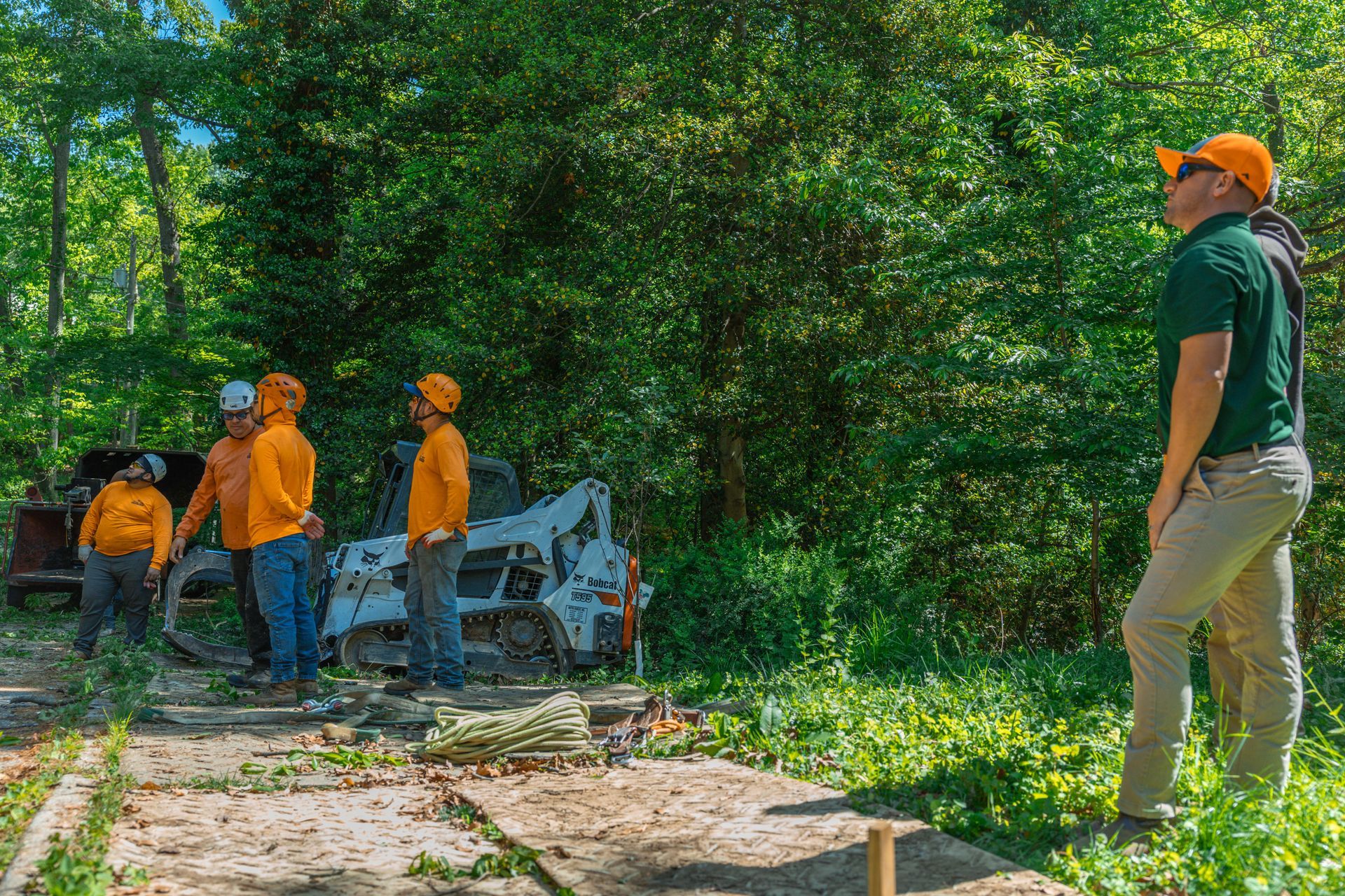 Final Cut Landscape & Tree Care team performing professional tree removal services on a residential property in Maryland