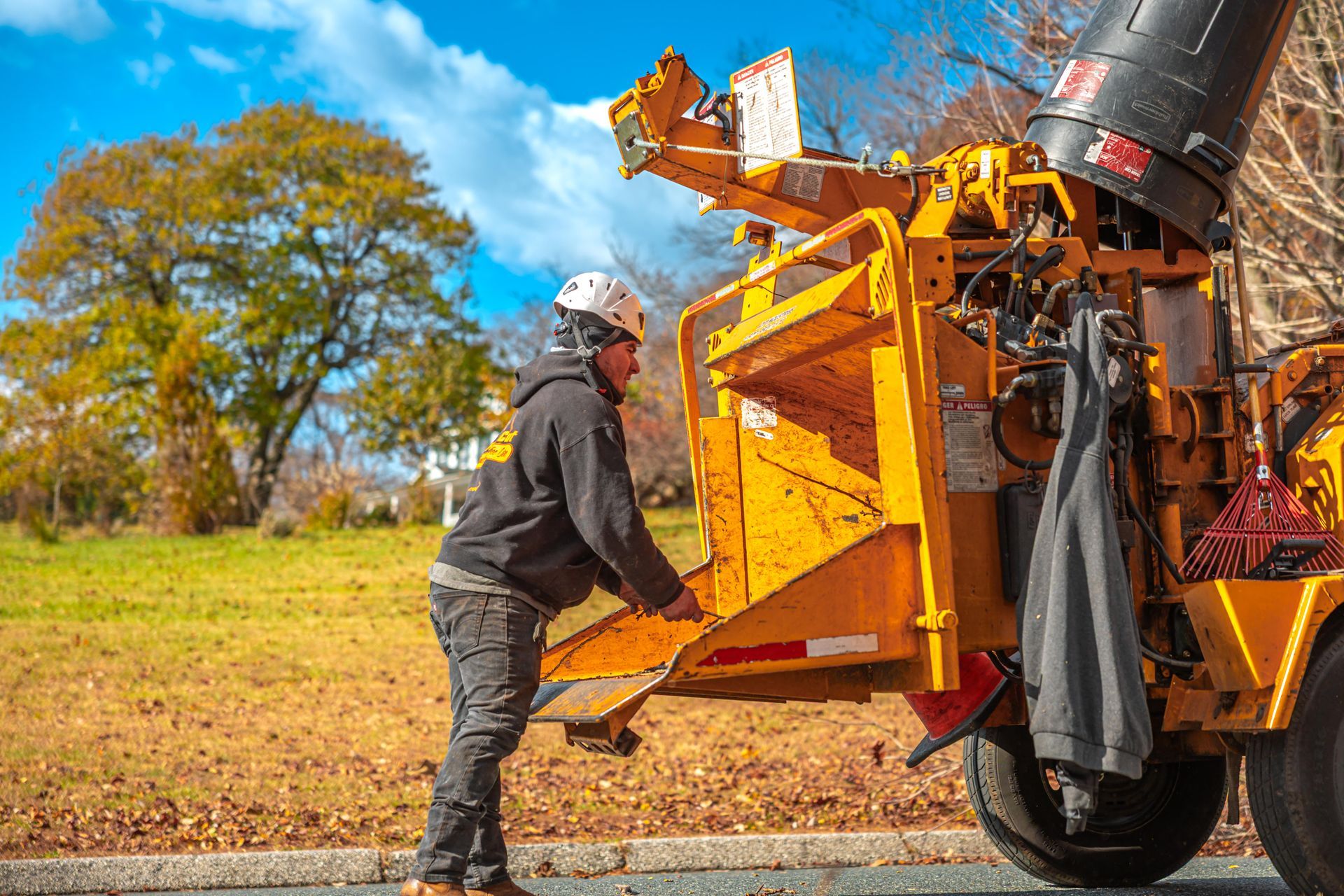 Man in hard hat operating a yellow wood chipper on a street with a tree in the background.