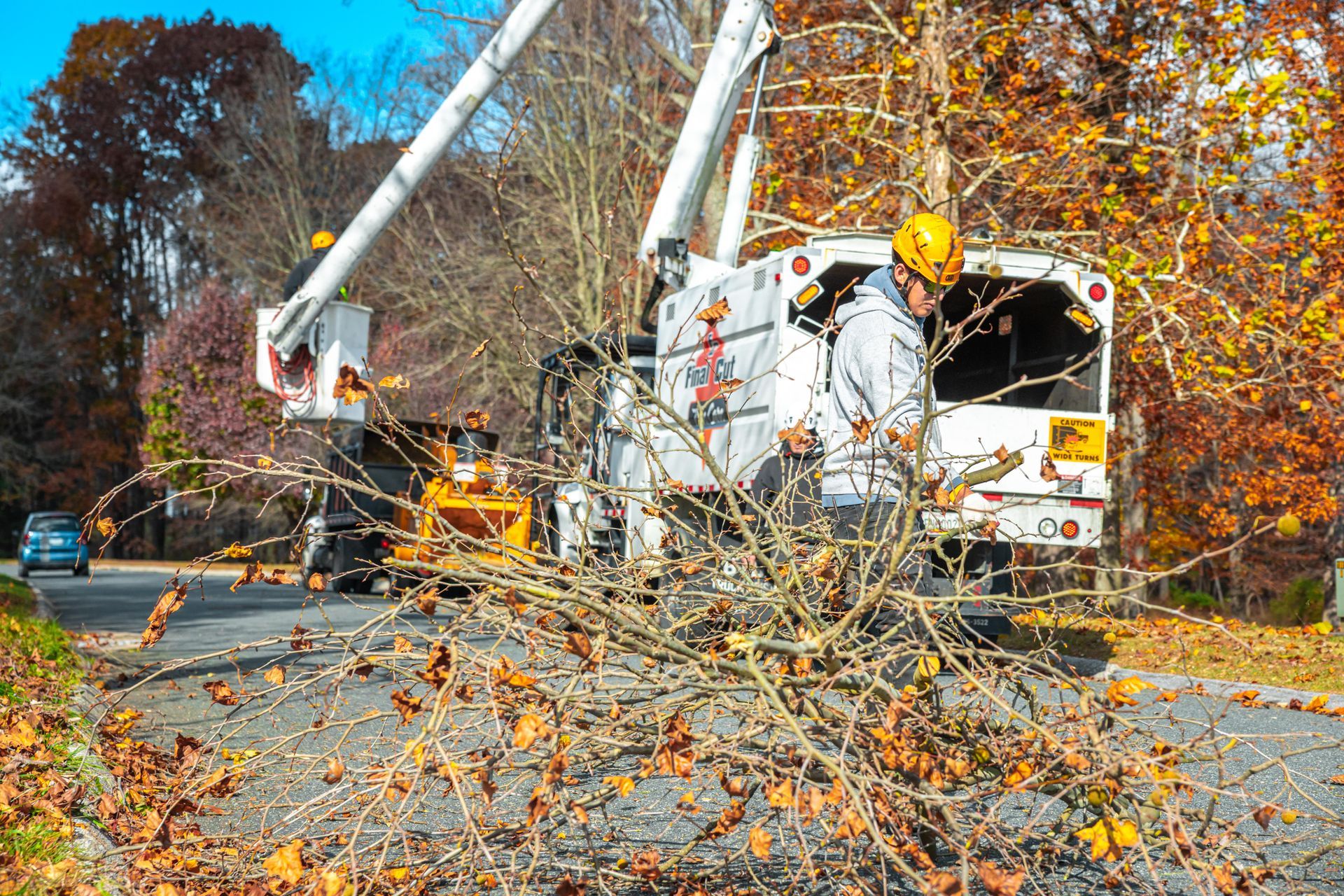 Tree trimming in progress: Arborist in a lift truck, cutting branches on a road, surrounded by fall foliage.