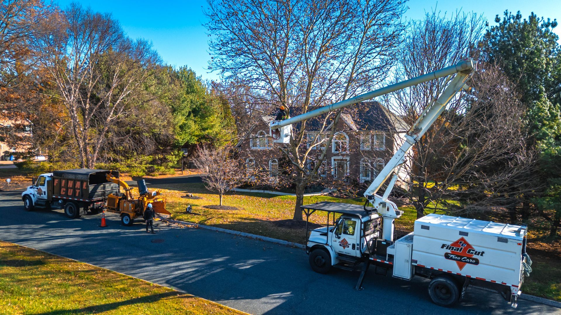 Tree service vehicles trimming a tree in front of a house on a sunny day.