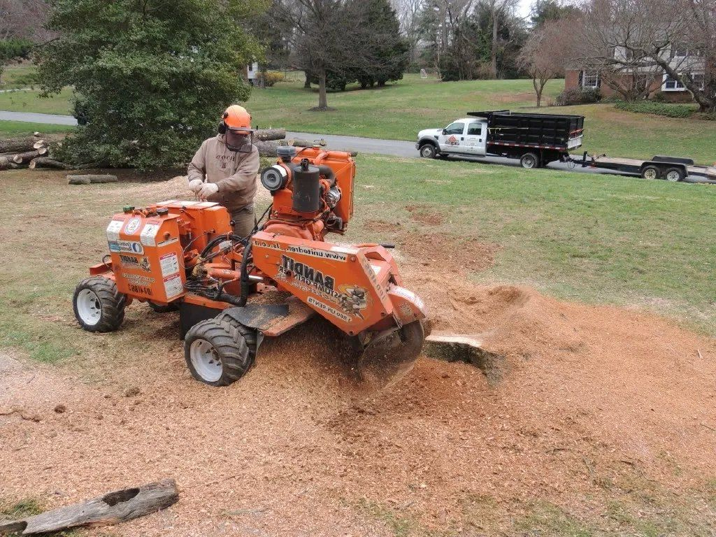 Man operating orange stump grinder, grinding a tree stump on a lawn; truck in the background.