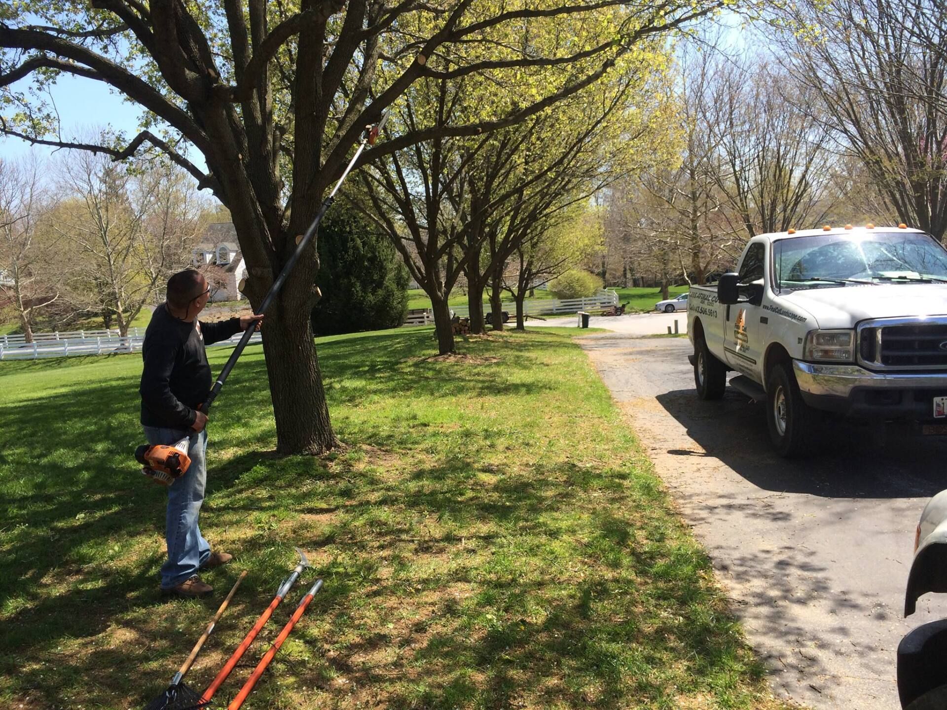 Man using a pole saw to trim a tree along a sidewalk. A truck is parked nearby.