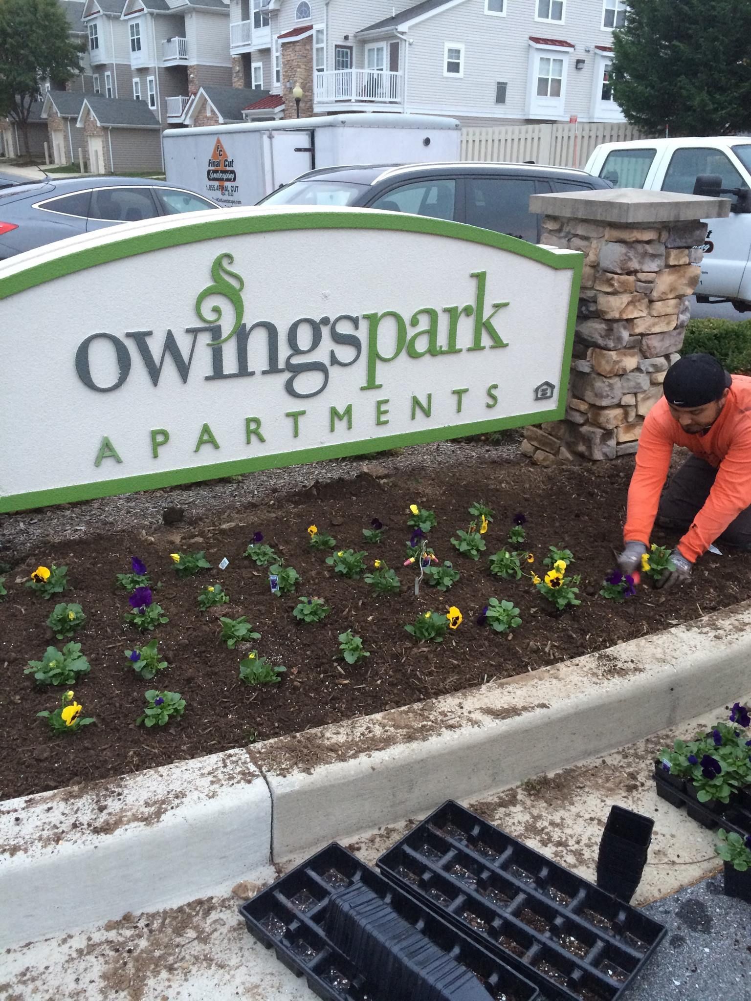 Man planting flowers in front of 