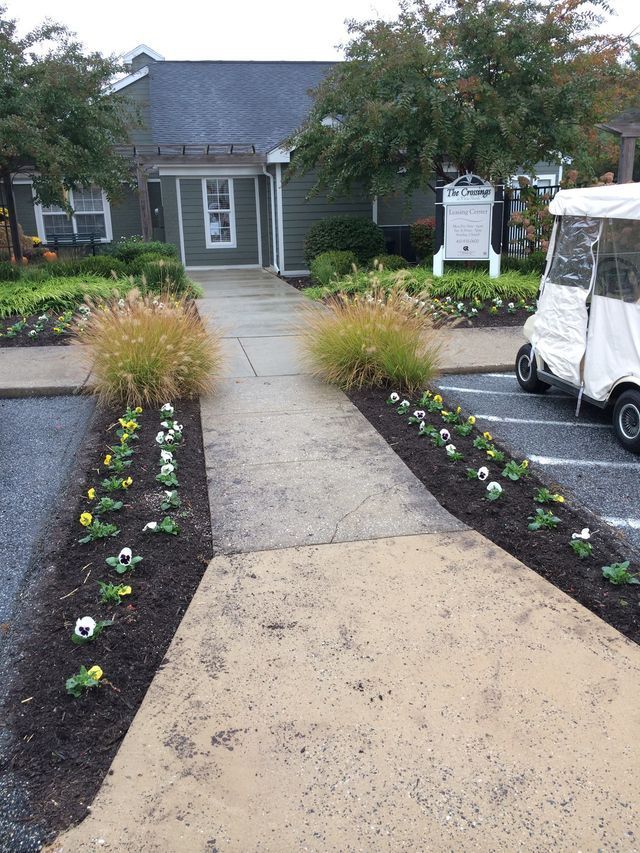 Sidewalk leading to a building with landscaping, a golf cart parked on the right.