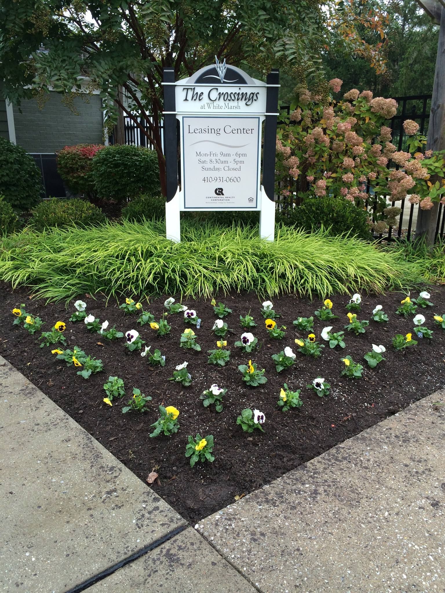 Sign for 