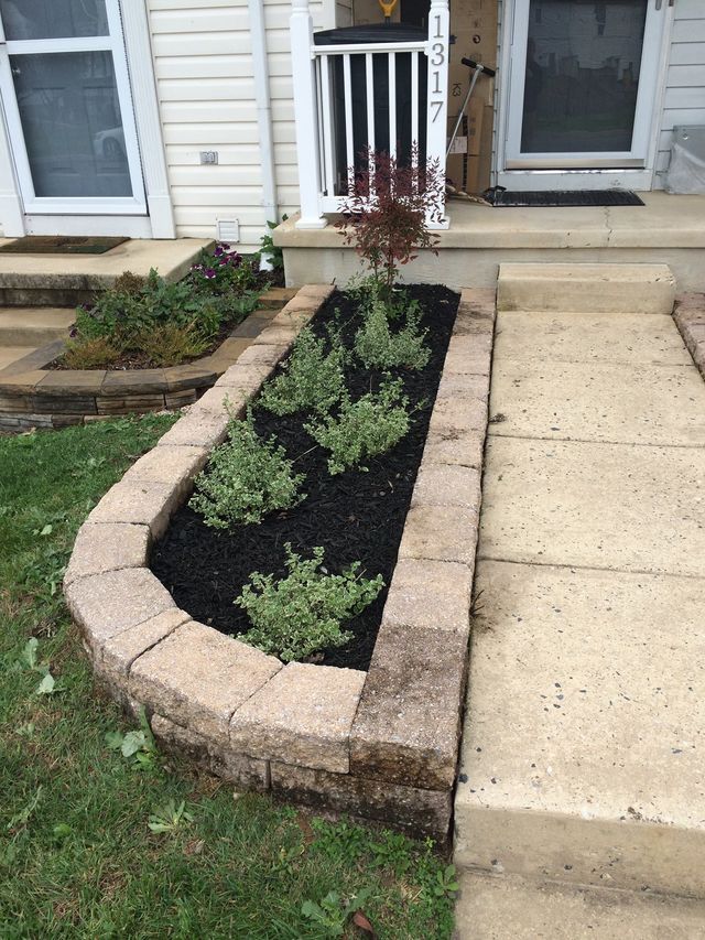 A small garden bed with retaining wall. Contains green plants, black mulch, and a small tree near the front door.